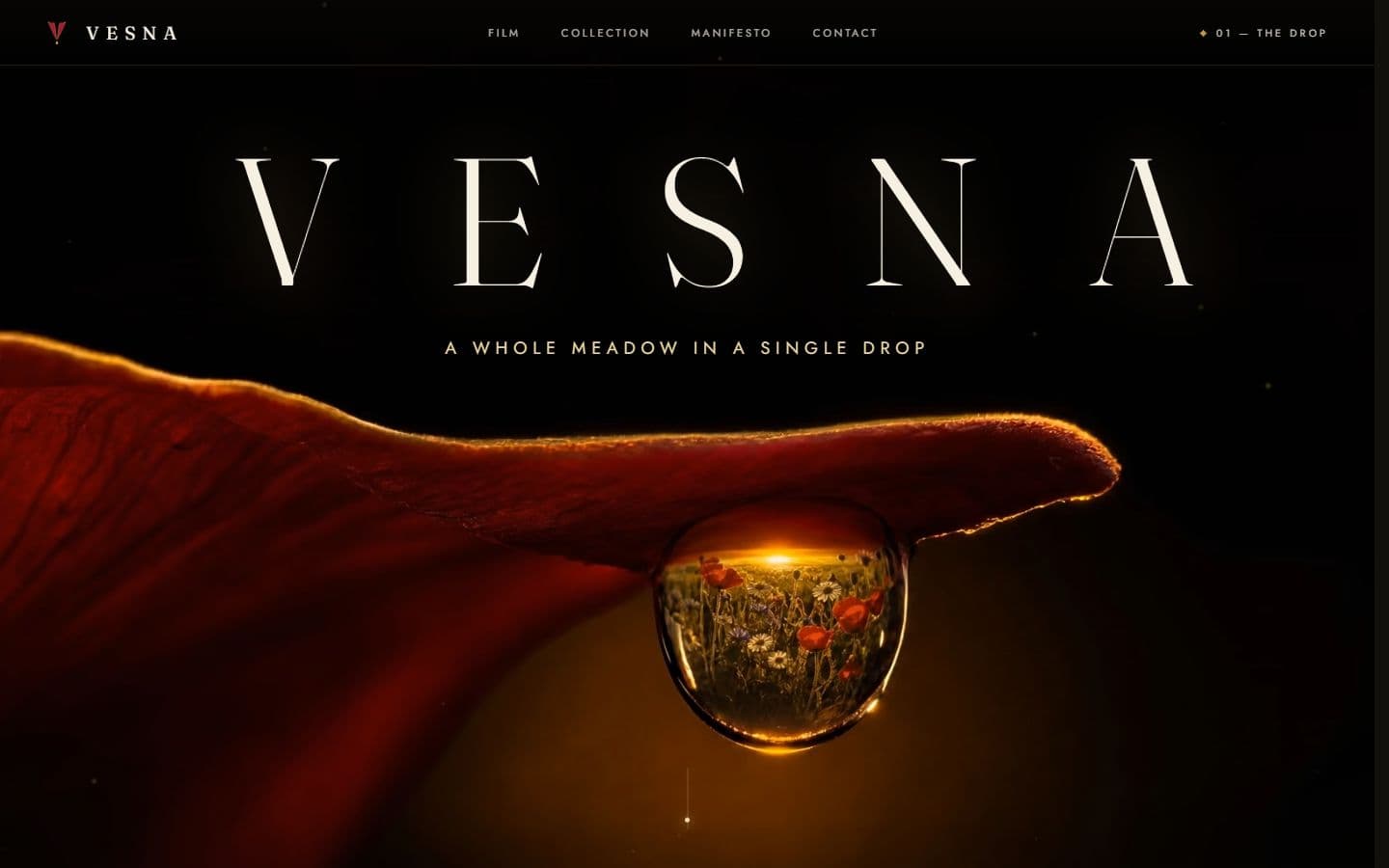 VESNA — chapter I, the drop